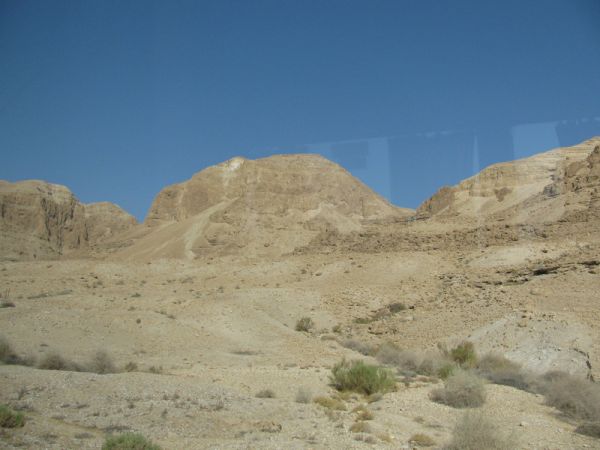 ������� ���� ����