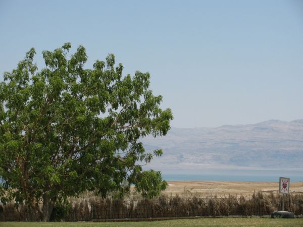 ������� ���� ����