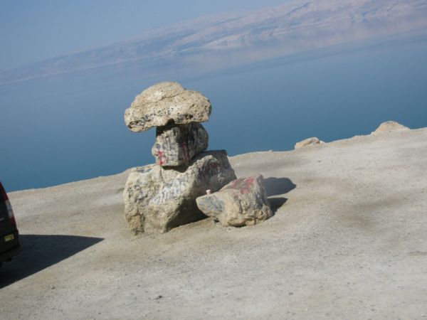 ������� ���� ����