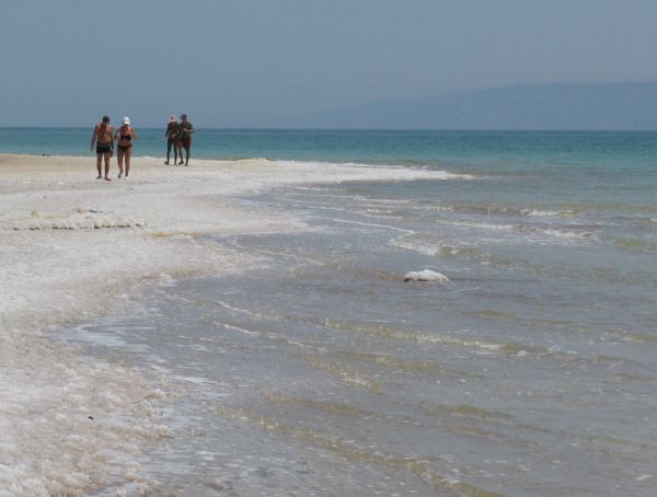 ������� ���� ����