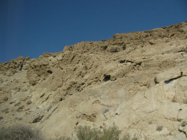 ������� ���� ����