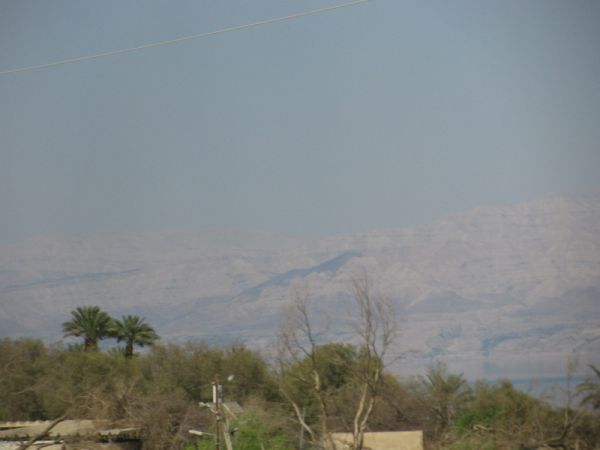 ������� ���� ����