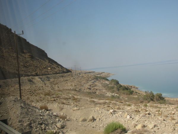 ������� ���� ����