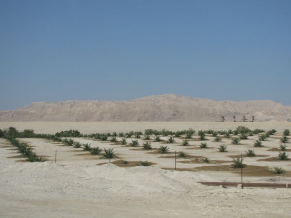 ������� ���� ����