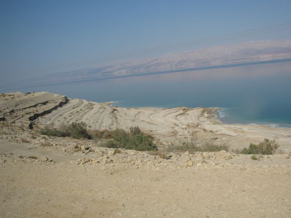 ������� ���� ����