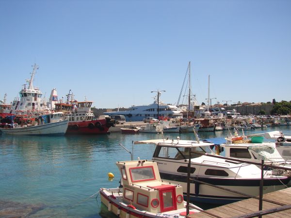 ���� ������, ������ ����