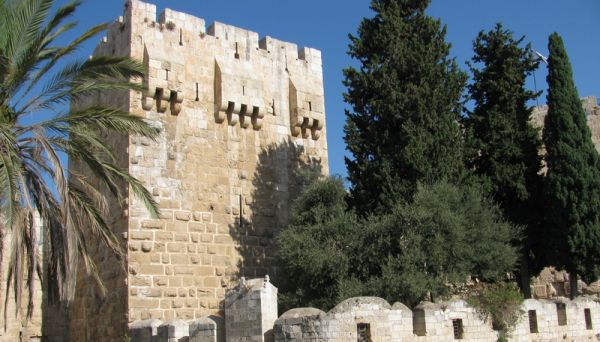 ���������, ������� ����