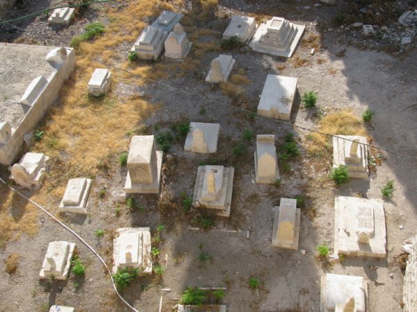 ���������, ������� ����