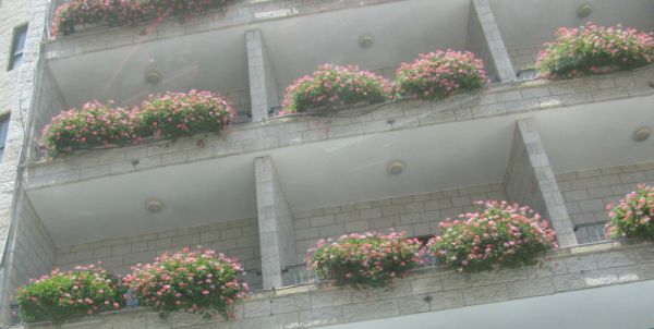 ���������, ������� ����