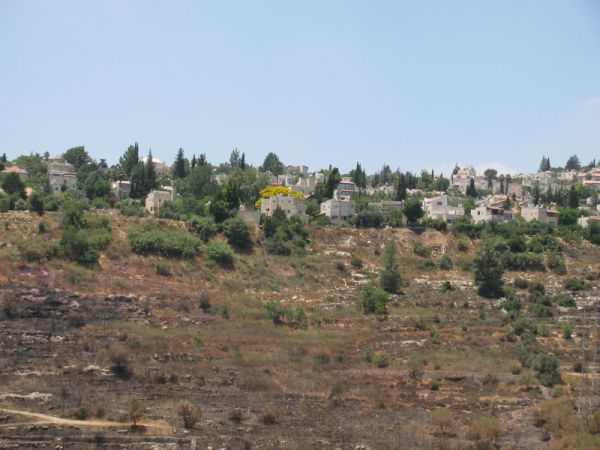 ���������, ������� ����