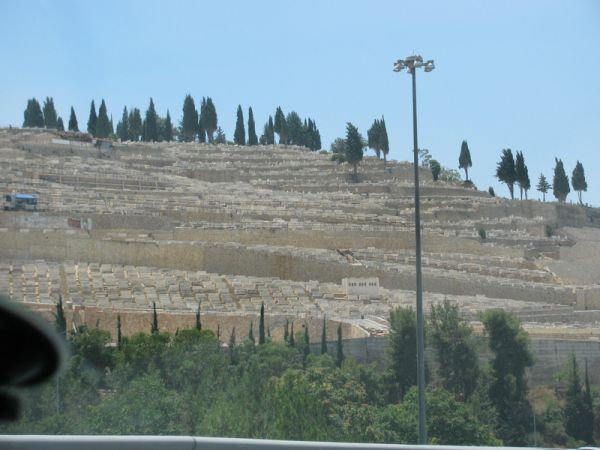 ���������, ������� ����