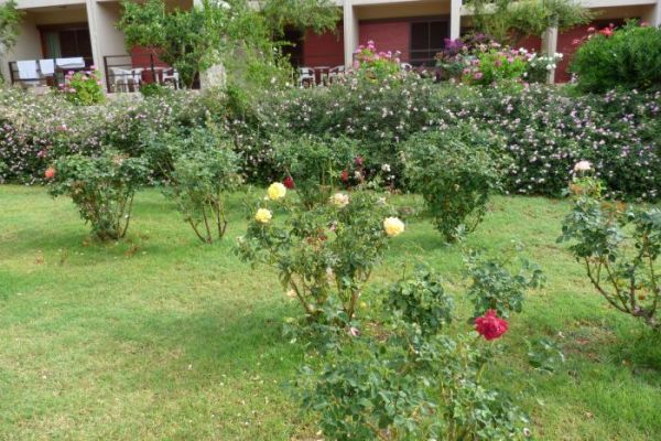 Dessole Malia Beach, ����, ����� ����