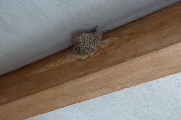 ������ �������� � �������� ������, ���� ����