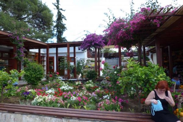 ���� � �������� ������ ����