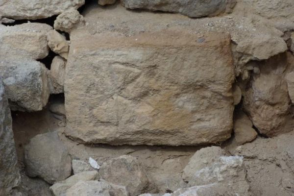 ������� ����� - ������ �������� ����