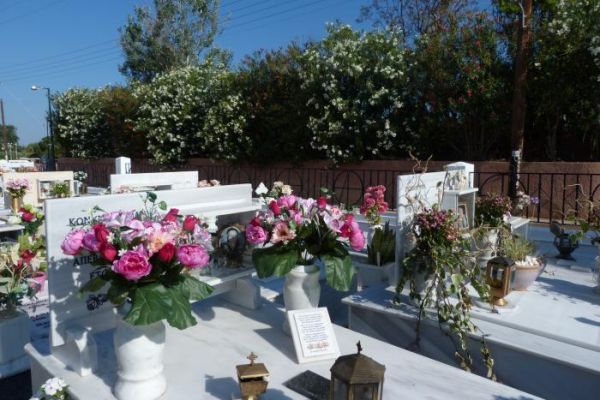 �������� �� ������� ���� ����