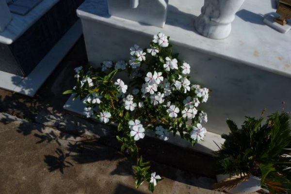 �������� �� ������� ���� ����