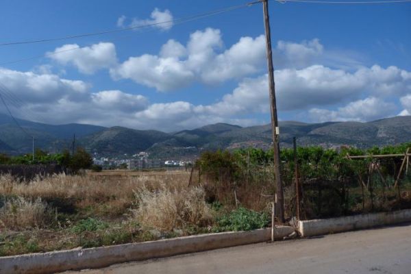 ������ � ���������� ������ ����