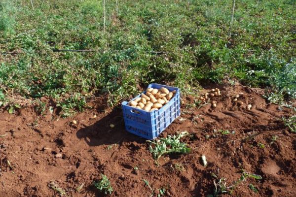 ������ ��������� �� ����� ����