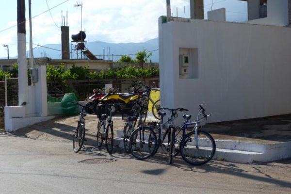 ������ � ���������� ������ ����