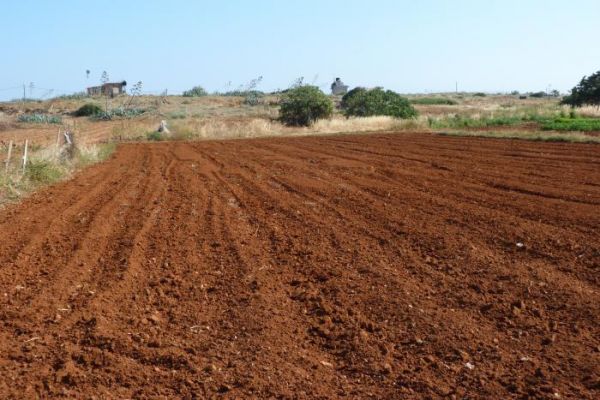 ������ � ���������� ������ ����