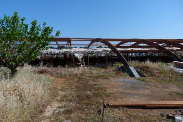 Palace of Malia ����