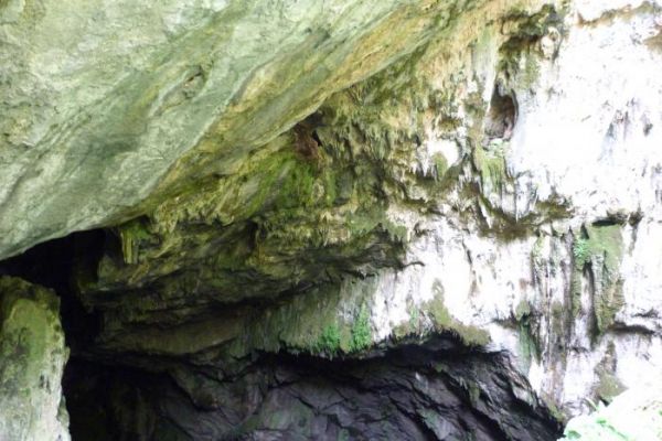 ������ �����, ����, ������ ����