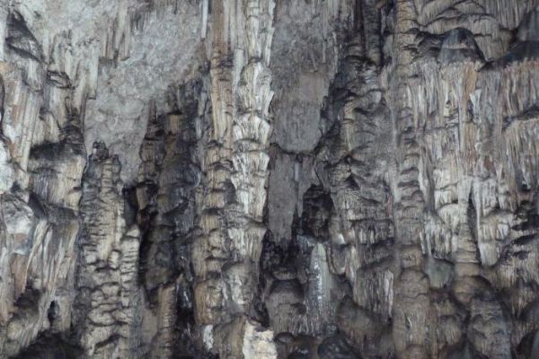 ������ �����, ����, ������ ����