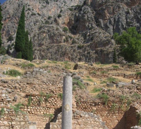 ������, ������ ����