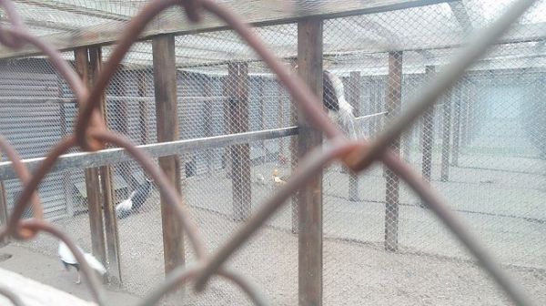 ���������� �.���������, ���������, �������� ���.������� ����