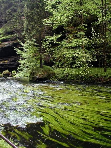 Природный парк Чешская Швейцария