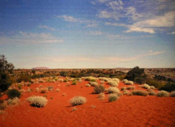 Пустыня гибсона австралия. Пустыня Гибсона в Австралии. Спинифекс в Австралии. Пустыня Гибсона Западная Австралия.