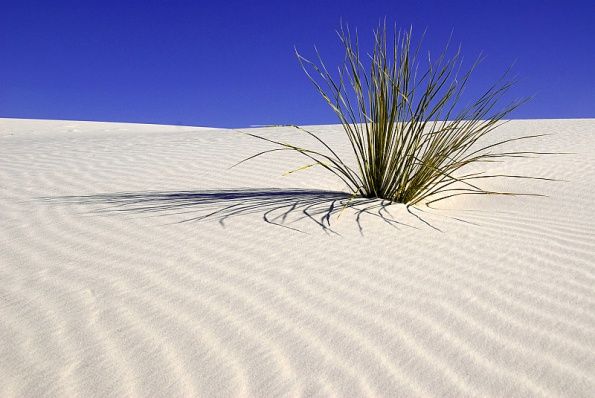 Пустыня Белых Песков